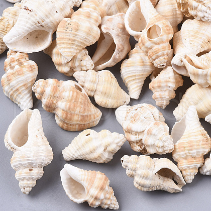 Natural Spiral Shell Beads SSHEL-S258-75-1