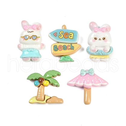 Summer Theme Resin Cabochons RESI-H166-16-1