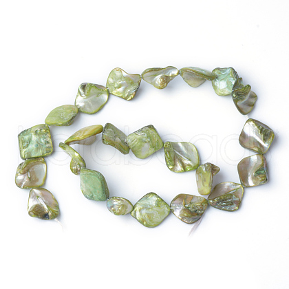 Natural Sea Shell Beads S00EA041-1