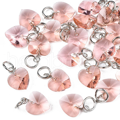 Faceted Transparent Glass Charms GLAA-T024-04J-1