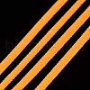 Luminous Polyester Braided Cords OCOR-T015-01D-4