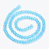 Glass Beads Strands EGLA-A034-T10mm-D08-2