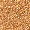 TOHO Round Seed Beads SEED-TR11-0984-2