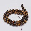 Faceted Natural Tiger Eye Beads Strands G-K066-01-10mm-2