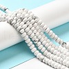 Synthetic Howlite Beads Strands G-K340-B06-01-4