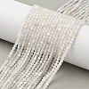 Natural Rainbow Moonstone Beads Strands G-C201-B06-3mm-1