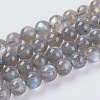Natural Labradorite Beads Strands G-G448-8mm-04B-1