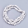 Natural Howlite Stone Bead Strands X-G-R192-15-2