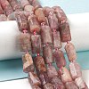 Natural Plum Blossom Tourmaline Beads Strands G-M403-B25-2