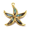 304 Stainless Steel Pave Natural Paua Shell/Abalone Shell Pendants STAS-S163-21G-1