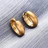 316 Surgical Stainless Steel Hoop Earrings for Women EJEW-G429-01C-G-3