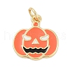 Brass Enamel Pendants KK-Q028-53G-1