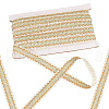 12M Polyester Braided Lace Ribbons OCOR-WH0092-18C-1