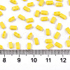 2-Hole Glass Seed Beads SEED-S031-M-SH42-2
