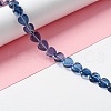 Transparent Glass Beads Strand GLAA-F112-03C-2