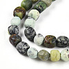 Natural Serpentine Beads Strands G-N346-04A-04-4