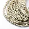 Spray Painted Cowhide Leather Cords WL-R001-2.0mm-49-2