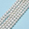 Natural Cultured Freshwater Pearl Beads Strands PEAR-J006-08C-01-2
