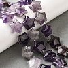 Natural Amethyst Quartz Beads Strands G-NH0005-030-2