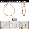 Beebeecraft 3 Pairs Brass Hoop Earrings for Women EJEW-BBC0001-66G-02-2