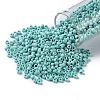 TOHO Round Seed Beads X-SEED-TR08-0413F-2