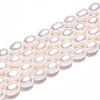 Natural Cultured Freshwater Pearl Beads Strands PEAR-N012-07X-2