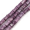 Natural Lepidolite/Purple Mica Stone Beads Strands G-F792-B01-2