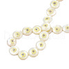 Natural Freshwater Shell Enamel Beads SHEL-N026-194-07-4