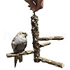 Wood Parrot Hanging Swing AJEW-WH0223-14-1