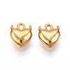304 Stainless Steel Charms STAS-N109-141G-1