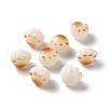 Carved Natural Bodhi Root Beads FIND-C012-01B-1