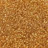 Transparent Colours Glass Round Seed Beads SEED-B001-06A-05-3
