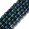Natural Agate Beads Strands G-B079-E01-01G-2