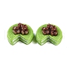 Opaque Resin Imitation Food Decoden Cabochons CRES-I032-02F-1