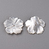 Natural White Shell Mother of Pearl Shell Beads SSHEL-R144-37-2