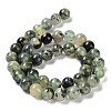 Natural Prehnite Beads Strands G-P322-48-10mm-01-3