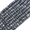 Natural Larvikite Beads Strands G-P575-A38-8x5mm-2