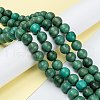 Natural Howlite Beads Strands G-C180-16D-4