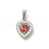 304 Stainless Steel Micro Pave Cubic Zirconia Pendants STAS-H228-03P-08-1