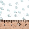 Glass Seed Beads SEED-T007-01K-4