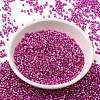 Electroplate Glass Seed Beads SEED-S042-01B-15-2