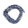 Natural Blue Spot Jasper Beads Strands G-C084-D09-01-5
