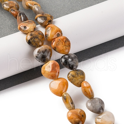 Natural Crazy Agate Beads Strands G-I372-A08-01-1