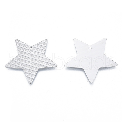 Non-Tarnish 304 Stainless Steel Pendants STAS-N098-194P-1