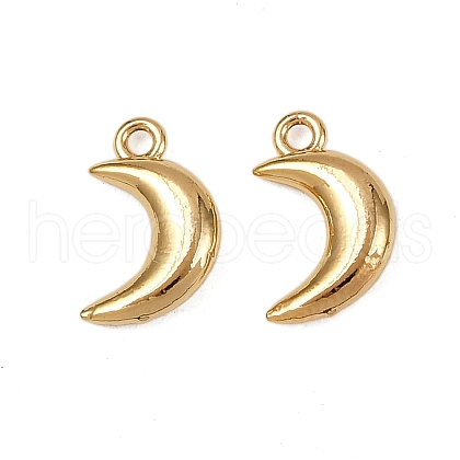 304 Stainless Steel Charms STAS-L290-70G-1