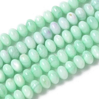 Natural Freshwater Shell Beads Strands SSHEL-C013-07D-1
