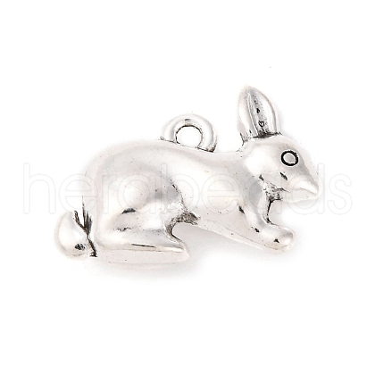 Tibetan Style Alloy Pendants FIND-A053-04AS-1