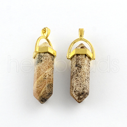 Picture Jasper Stone Pendants with Alloy Findings G-R278-24G-1