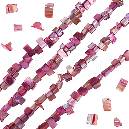 Beebeecraft 4 Strands Dyed Natural Freshwater Shell Beads Strands SHEL-BBC0001-14C-1