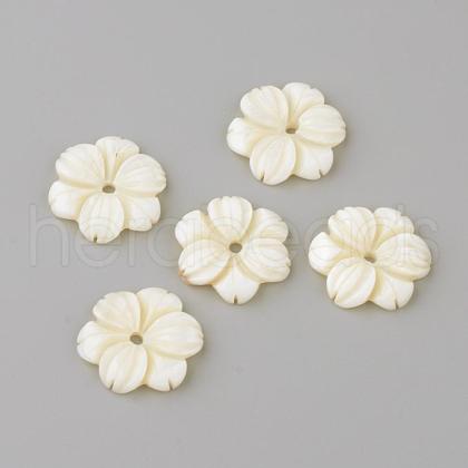 Natural Freshwater Shell Beads SHEL-Q008-53-1